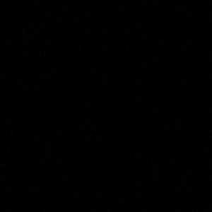 Meet your Posher, Bella